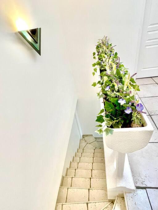 Charmante Villa Pour 10 Personnes Saint-Augustin  Ngoại thất bức ảnh